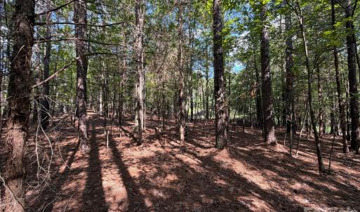Photo #10 of 9212 Rustic Creek, Waxhaw, NC