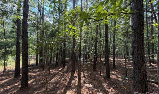Photo #6 of 9212 Rustic Creek, Waxhaw, NC