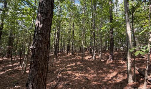 Photo #19 of 9212 Rustic Creek, Waxhaw, NC