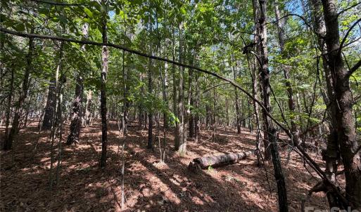 Photo #14 of 9212 Rustic Creek, Waxhaw, NC