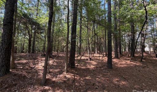 Photo #29 of 9212 Rustic Creek, Waxhaw, NC