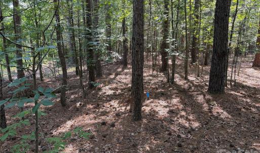 Photo #8 of 9212 Rustic Creek, Waxhaw, NC
