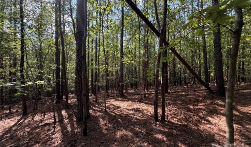 Photo #23 of 9212 Rustic Creek, Waxhaw, NC