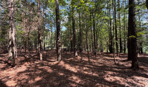 Photo #11 of 9212 Rustic Creek, Waxhaw, NC