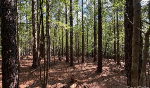 Photo #20 of 9212 Rustic Creek, Waxhaw, NC