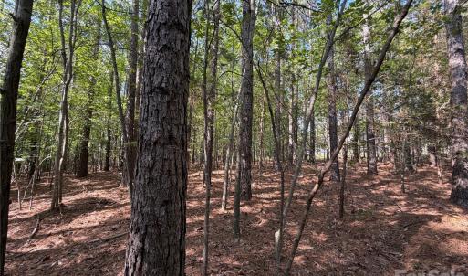 Photo #26 of 9212 Rustic Creek, Waxhaw, NC