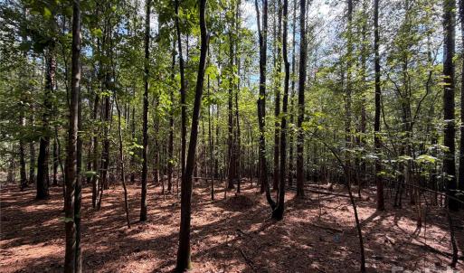 Photo #22 of 9212 Rustic Creek, Waxhaw, NC