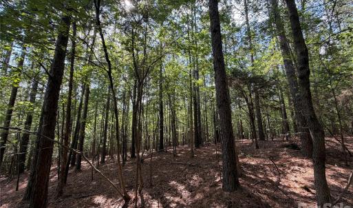 Photo #32 of 9212 Rustic Creek, Waxhaw, NC