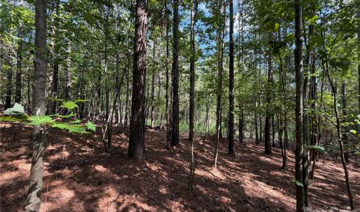 Photo #21 of 9212 Rustic Creek, Waxhaw, NC