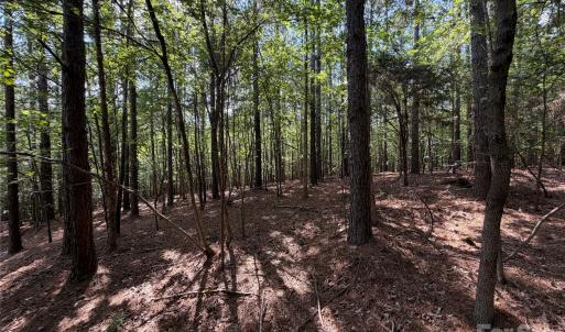 Photo #31 of 9212 Rustic Creek, Waxhaw, NC