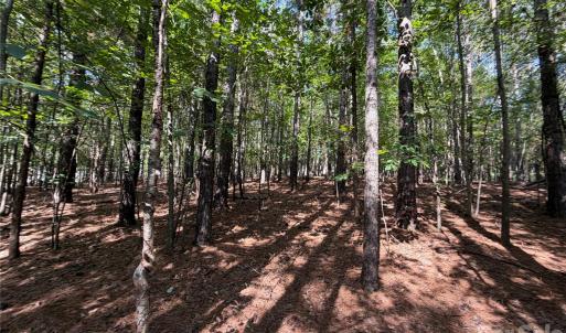 Photo #16 of 9212 Rustic Creek, Waxhaw, NC