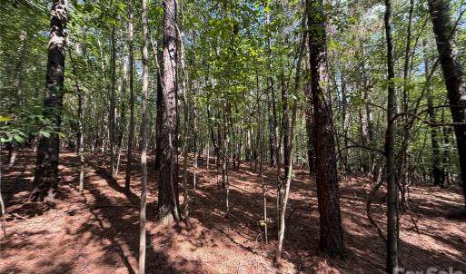 Photo #17 of 9212 Rustic Creek, Waxhaw, NC