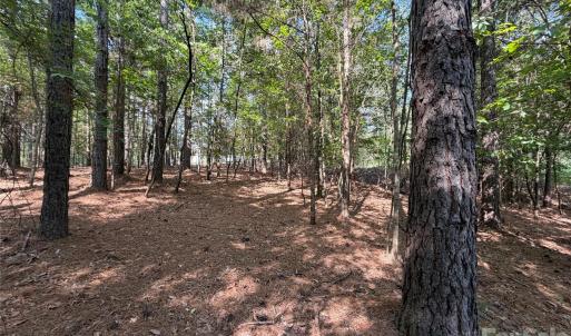 Photo #28 of 9212 Rustic Creek, Waxhaw, NC