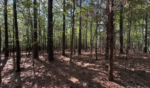 Photo #13 of 9212 Rustic Creek, Waxhaw, NC