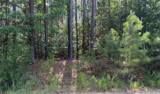 Photo #3 of 9212 Rustic Creek, Waxhaw, NC