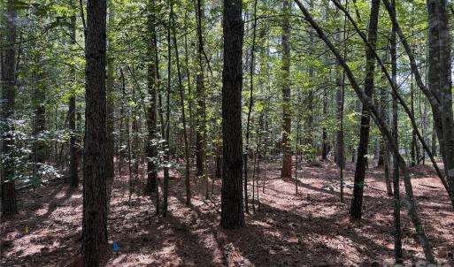 Photo #9 of 9212 Rustic Creek, Waxhaw, NC