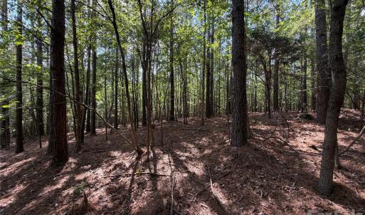 Photo #30 of 9212 Rustic Creek, Waxhaw, NC