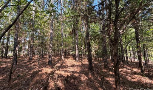 Photo #27 of 9212 Rustic Creek, Waxhaw, NC