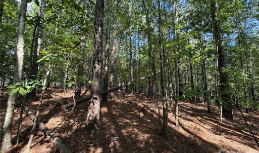 Photo #18 of 9212 Rustic Creek, Waxhaw, NC