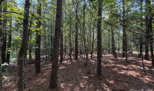 Photo #7 of 9212 Rustic Creek, Waxhaw, NC