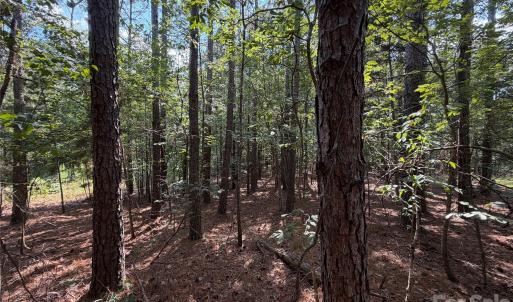 Photo #5 of 9212 Rustic Creek, Waxhaw, NC