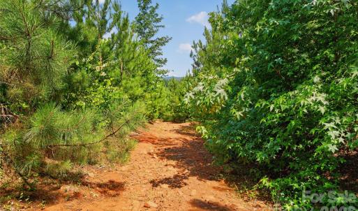 Photo #39 of Blanton, Sharon, SC