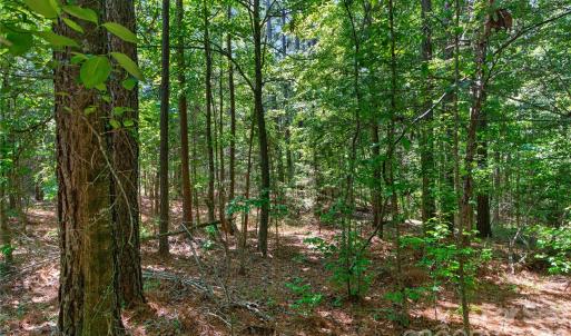 Photo #24 of Blanton, Sharon, SC