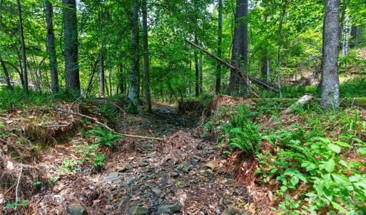 Photo #20 of Blanton, Sharon, SC
