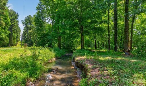 Photo #10 of Blanton, Sharon, SC