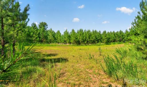 Photo #16 of Blanton, Sharon, SC