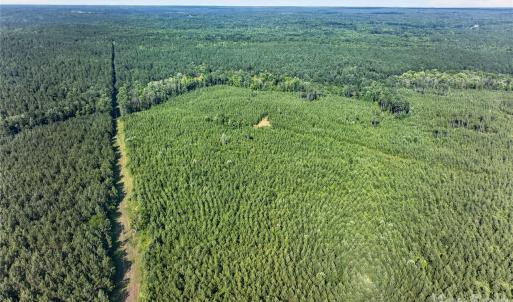 Photo #7 of Blanton, Sharon, SC