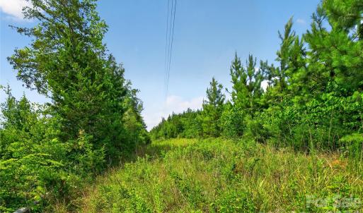 Photo #37 of Blanton, Sharon, SC