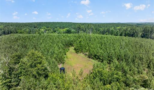 Photo #3 of Blanton, Sharon, SC