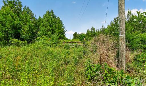 Photo #38 of Blanton, Sharon, SC