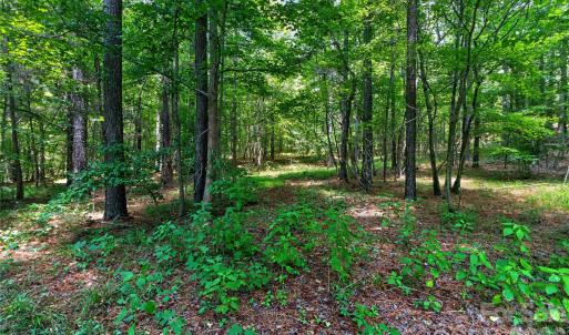 Photo #14 of Blanton, Sharon, SC