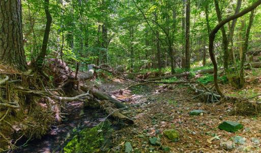 Photo #26 of Blanton, Sharon, SC