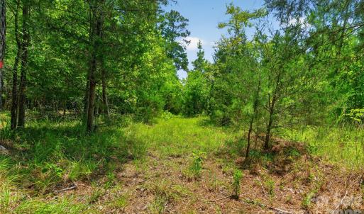 Photo #32 of Blanton, Sharon, SC