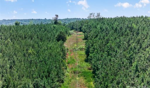 Photo #29 of Blanton, Sharon, SC