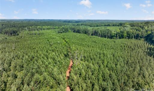 Photo #17 of Blanton, Sharon, SC