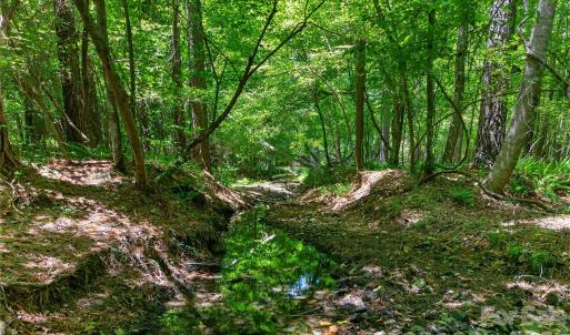 Photo #4 of Blanton, Sharon, SC