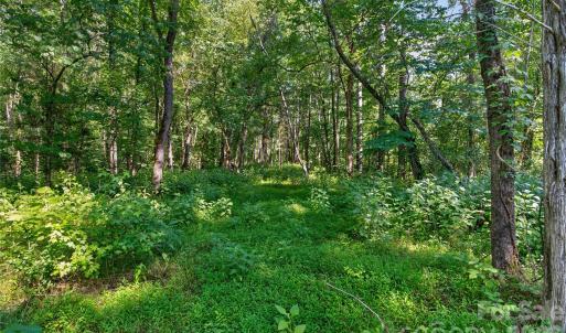 Photo #27 of Blanton, Sharon, SC