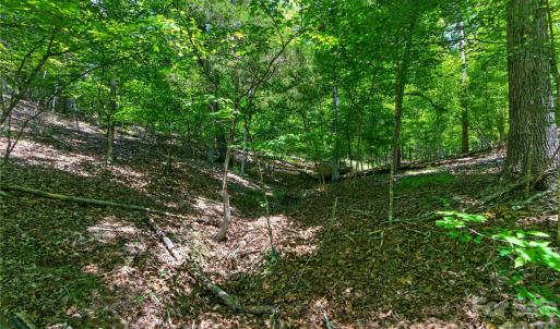 Photo #31 of Blanton, Sharon, SC