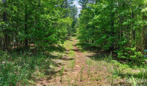 Photo #23 of Blanton, Sharon, SC