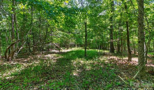 Photo #36 of Blanton, Sharon, SC
