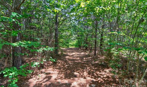 Photo #35 of Blanton, Sharon, SC