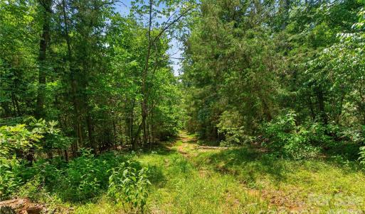 Photo #22 of Blanton, Sharon, SC
