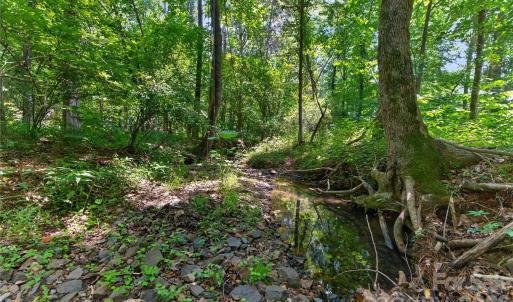 Photo #15 of Blanton, Sharon, SC