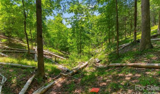 Photo #19 of Blanton, Sharon, SC