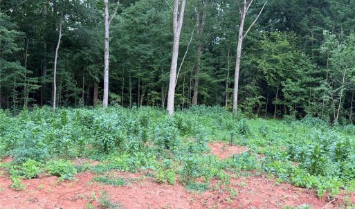Photo #14 of 8251 Addison, Harrisburg, NC