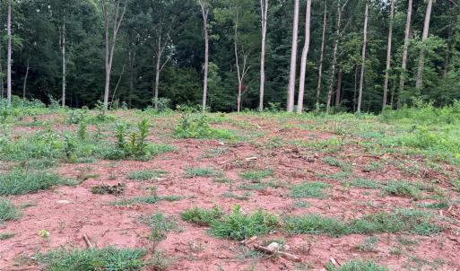 Photo #12 of 8251 Addison, Harrisburg, NC